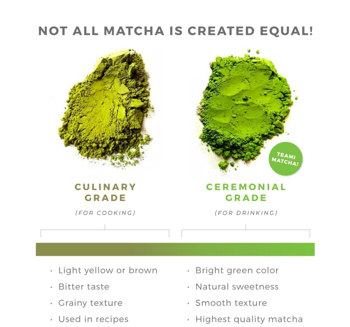 Matcha Explained: What is Matcha Tea & Benefits