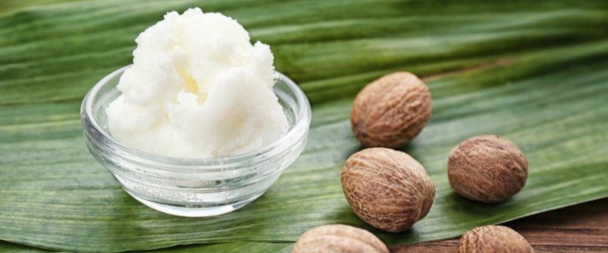 shea butter with shea nuts